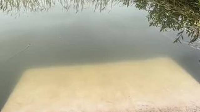 这上鱼速度牛不牛#钓鱼的乐趣只有钓鱼人懂 #测试 #钓鱼人就是这么疯狂 #钓鱼技巧 #钓鱼那些事