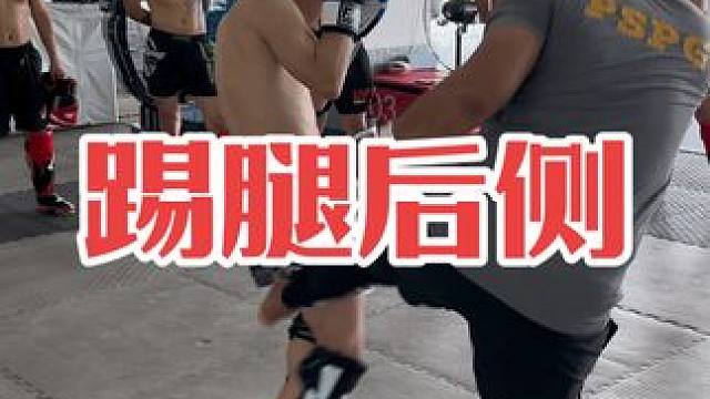 踢腿后侧练习#泰拳 #自由搏击 #拳击