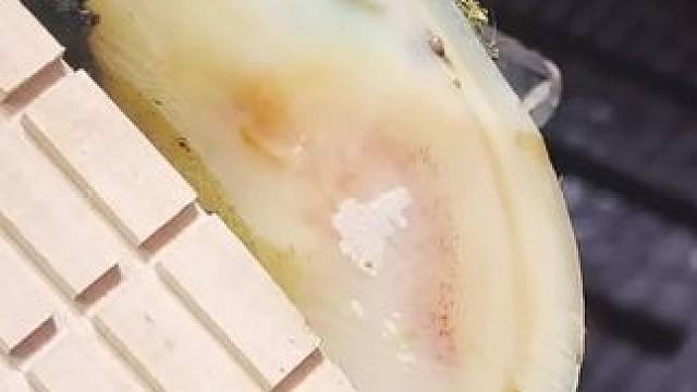 是什么问题让牛牛蹄壁出现一条沟壑，更是留下了一大块空腔#解压#修牛蹄