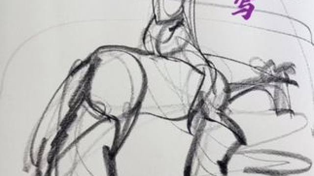 直接抒写感性表达…艺术已成！ #速写 #绘画 #零基础学画画 #老年人学画画