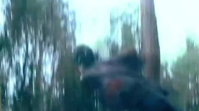 #西瓜视频 点击上方（红色按钮） 可看完整版 大结局太精彩了...《西瓜视频》，观看精彩后续《西瓜视