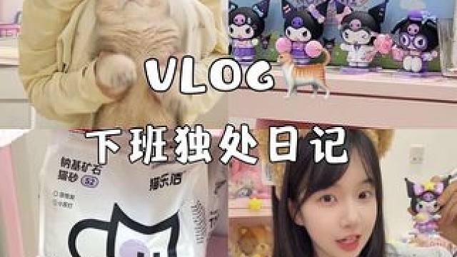 下班独处养猫幸福一日记录#vlog日常 #铲屎官日记 #养猫人 #日常分享