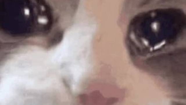 让花开的方式不是阻止她绽放#女子推理社 #看不见的网 #女子推理社2