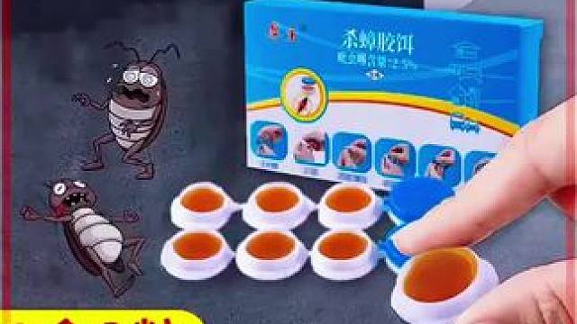 蟑螂一锅端，此后无烦恼#蟑螂 #蟑螂胶饵 #蟑螂药 #蟑螂恶霸