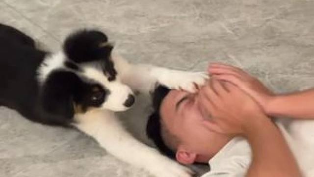 老婆挑战僵尸后续，僵尸不会放过每个嘴硬的人… 