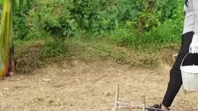 #小院改造 #新农人计划 #改造小院 #记录我的生活