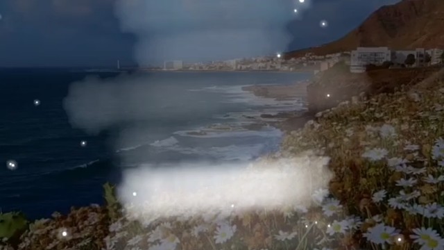 泪水比我更坦诚