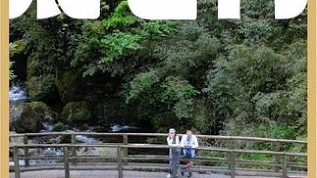  **热҈得҈冒҈烟҈？** 快逃进22℃的绿野仙踪！ 成都出发2h直达，一键切换“空调模式”❄️
