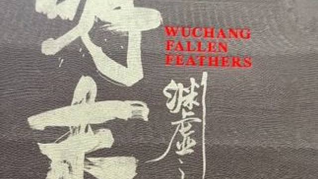 简简单单开个箱，继续打游戏啦！#明末渊虚之羽 #开箱