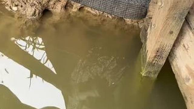 扩散性怎么样#钓鱼的乐趣只有钓鱼人懂 #测试 #钓鱼人就是这么疯狂 #钓鱼技巧 #钓鱼人