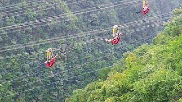 音乐一响，自由飞翔 #高空滑索 #张家界大峡谷高空滑索 #亲子游玩好去处 #暑假去哪玩#周末去哪玩