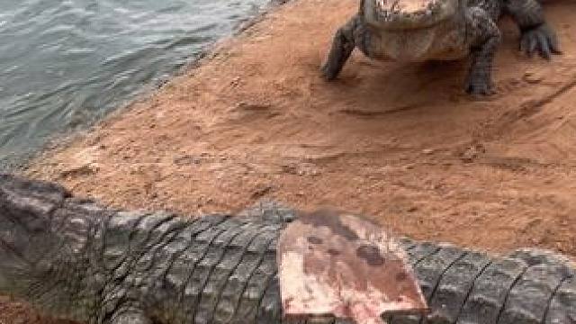 天气炎热下去凉快凉快 #非专业人士请勿模仿