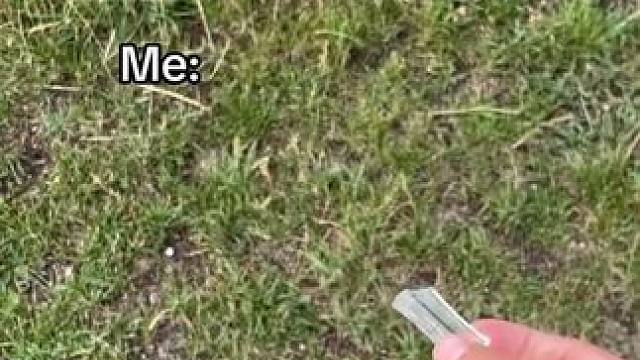 整个世界变成了像素风~ #玩个很新的东西 #我的世界