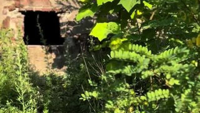 胆小的迅速滑走，太吓人了 #原创视频 #上热搜 #随手拍 #随拍