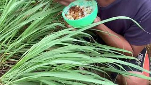 野菜哥 #我的农村生活 #太好吃了 #野外生活 #新农人计划 #农村的日常生活