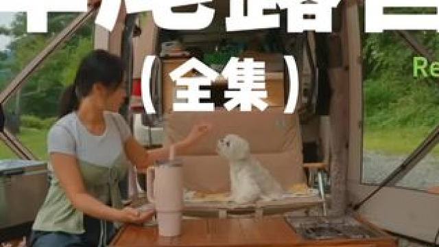 车尾露营（全集）带着狗子去露营~#露营 #助眠 #解压 #萌宠 #户外露营