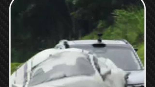 这就是事故场景模拟的意义吧#智能辅助驾驶  #车企 #全球首次高速路辅助驾驶科普