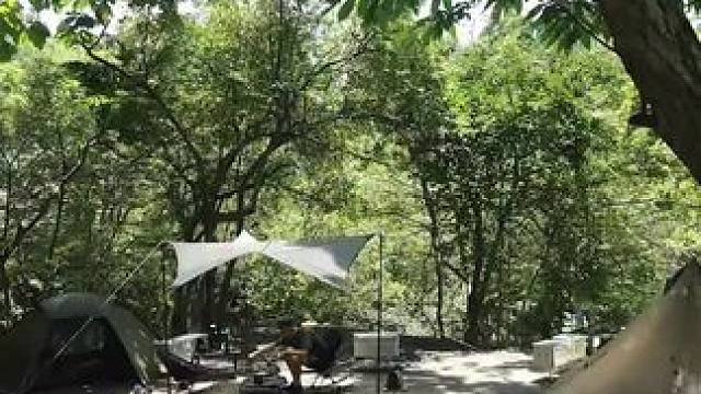 夏日露营 #户外露营 #露营报告