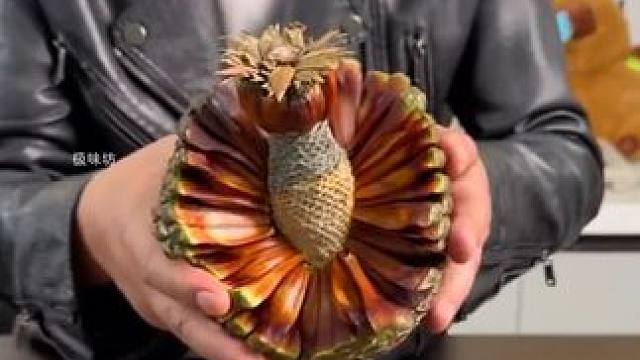 巴拉那松子是什么玩意？ #巴拉那松 #巴拉那松子 #科普