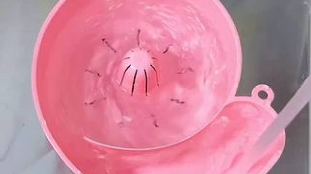 蜗牛自动清洗篮 有了它，以后洗水果可就太方便了，自动洗干净还能自动沥水，#沥水篮  #厨房好物  #