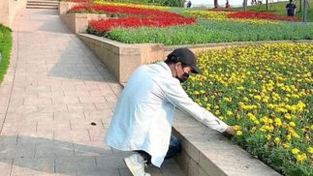 看到花花美景试试这样拍#手机摄影 #拍摄技巧 #拍花技巧 #治愈系 #治愈系风景