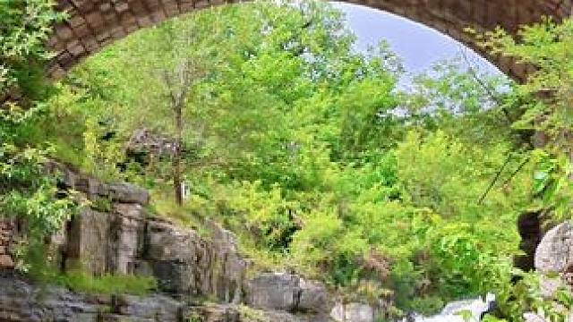 #大山深处自然美山清水秀好风光 #曹范之行。青山隐隐水迢迢，翠影摇曳映碧霄。鸟雀欢歌林里闹，为啥此景