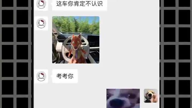 考的就是你，网友问这是什么车#看图猜车#领克