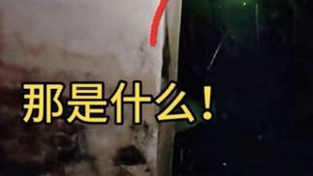 试睡恐怖寺庙第二集#恐怖故事 #灵异事件 #真实户外 #户外探险