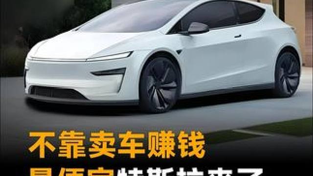 不靠卖车赚钱，最便宜特斯拉来了，原来背后还有大坑？#特斯拉  #特斯拉FSD  #ModelY  #