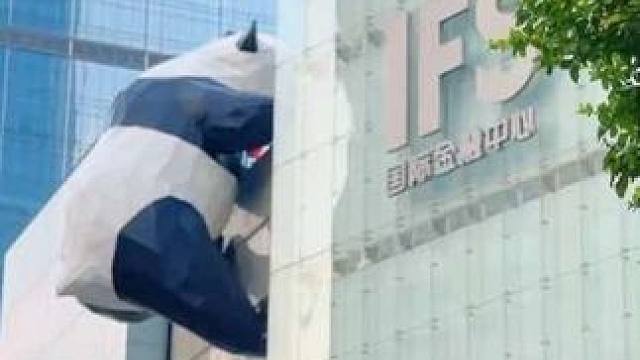 暑假带娃来成都旅行，这么高性价比的市中心酒店千万要码住！#亲子游玩好去处 #心动旅行家 #成都熊猫基