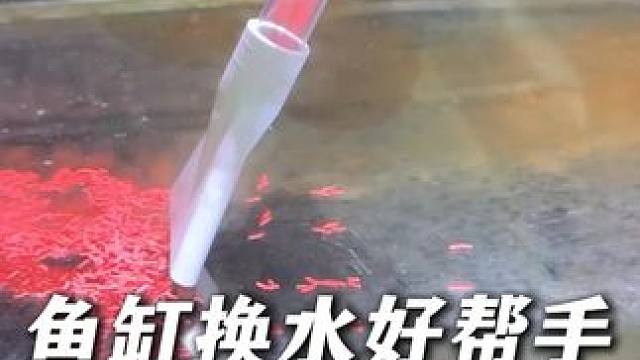 有了这个换水器，一个人也能轻松换水，换水的时候只需捏两下即可 #鱼缸换水 #换水器 #养鱼日记 #鱼
