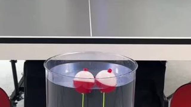 我发布了一个新视频，快来围观吧！