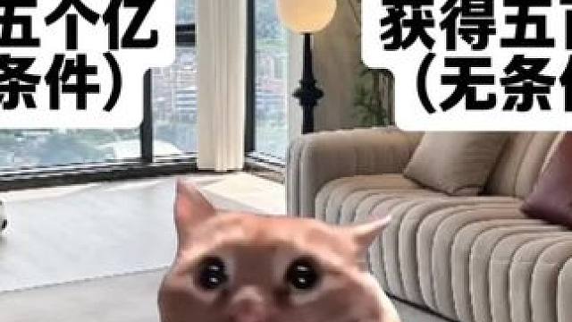 你会选哪个 #猫meme #猫meme小剧场