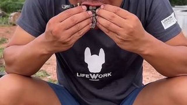 咖喱炖蛙真好吃 #美食 #户外美食 #泰国美食 #内容启发搜索