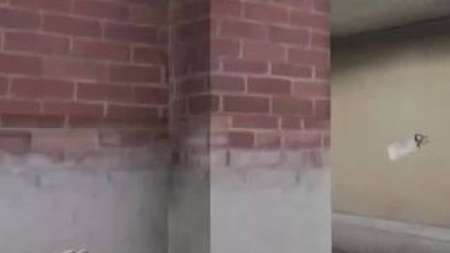 #cfm #cf手游 #赏金币预言 #穿越火线手游