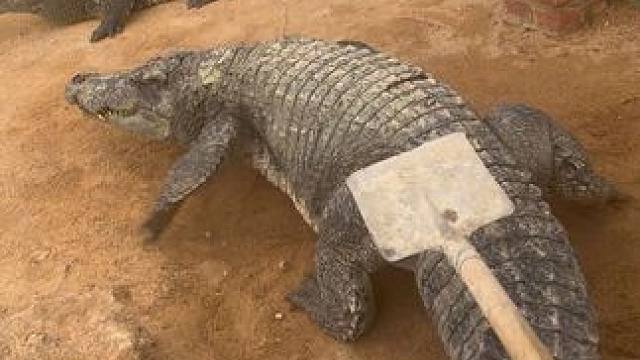 请积极配合我，不然痛的还是你#非专业人士请勿模仿