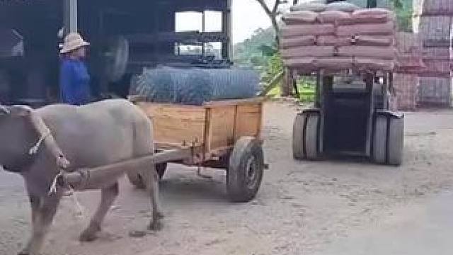 #山地运输车 #日常生活 #大山里的原生态 #我的乡村生活一般人不知道是什么 #我的农村生活