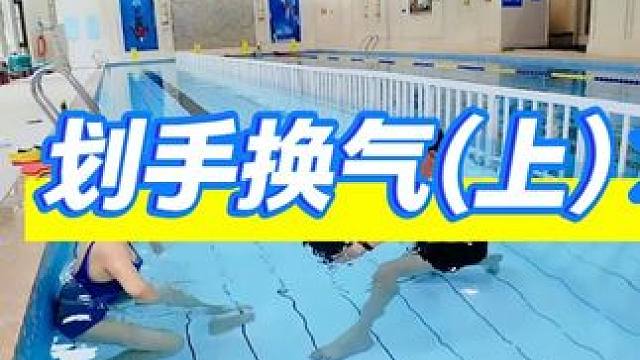 全网最详细的蛙泳划手教程  可以收藏下来 #游泳 #蛙泳 #学游泳 #西安游泳先生 #游泳培训