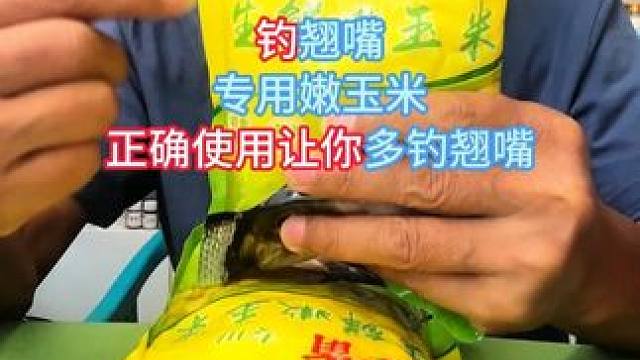 钓翘嘴专用嫩玉米正确使用让你多钓翘嘴 ，专攻鲤鱼饵料钓鱼 钓翘嘴专用嫩玉米正确使用让你多钓翘嘴 ，专