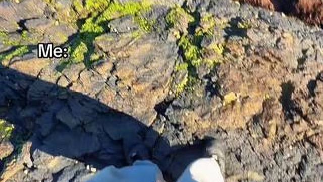 你以为它只是一支笔，其实它是。。 #鱼竿 #玩个很新的东西