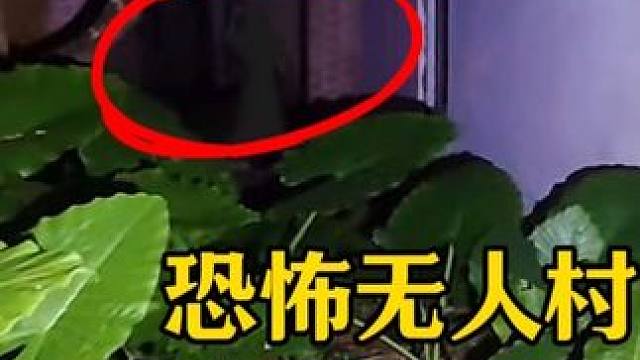 废弃老宅探险，我冷汗直冒#户外探险 #恐怖故事