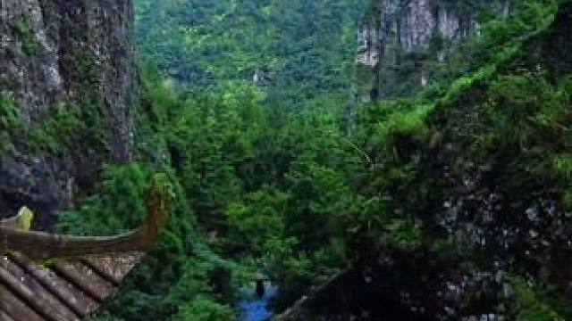 山水的壮丽，让人心生敬畏，也让人感受了生命的渺小与伟大。雁荡山雁湖景区。