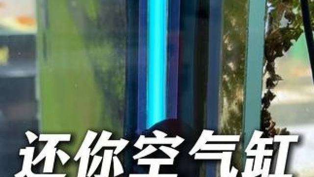 如果你鱼缸经常爆藻，水发绿发臭总处理不好，上个杀菌灯试试吧！ #杀菌灯 #鱼缸杀菌 #鱼缸除藻 #养