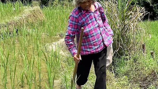 年近八十的姐姐给弟弟挖马蹄笋吃