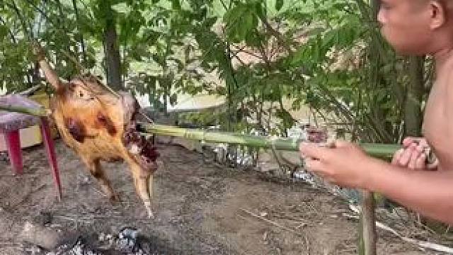 东南亚矮子 #我的乡村生活 #我的农村生活日常 #荒野生存 #野外生活 #乡村美食