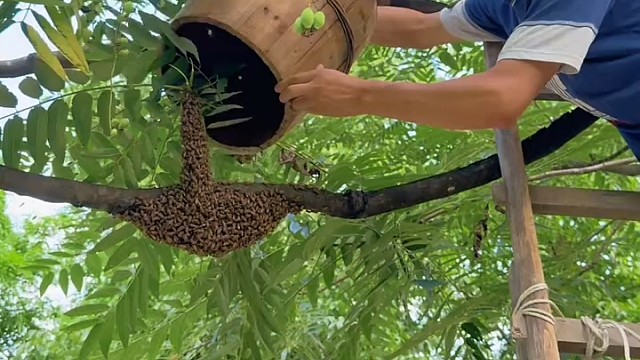 为啥要一直说？