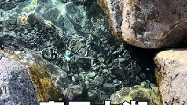 大西洋的最后一滴眼泪 #鳄珍 #鳄鱼皮具 #鳄鱼养殖场