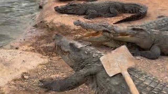 请积极配合我，不然后果你懂的#非专业人士请勿模仿