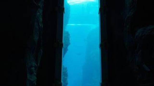 神仙姐姐同款机位好像潜入深海。#替我自由时别忘了喊我看 #机位天才已就位 #在阿布扎比 #阿布扎比1