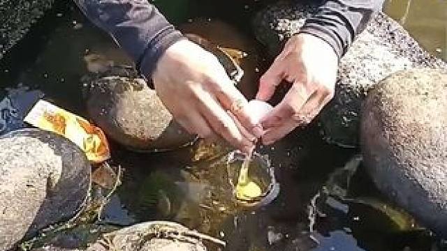 不可思议的钓鱼过程#钓鱼 #户外捕鱼 #钓鱼的乐趣只有钓鱼人懂 #有趣 #不可思议